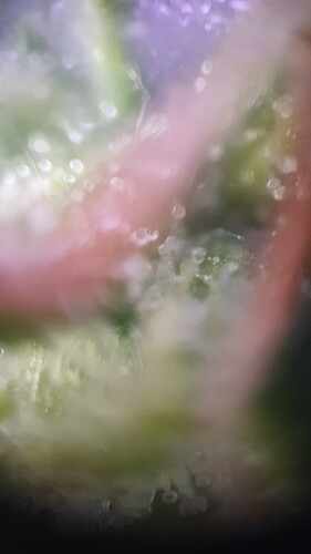 TINYSCOPE_20230301225351744