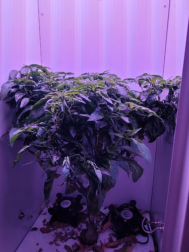 20220707_070841