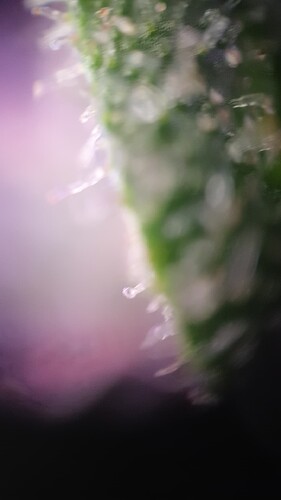 TINYSCOPE_20220403173841948