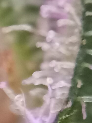20220611_175946