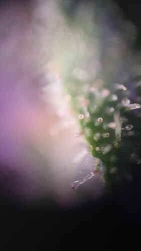 TINYSCOPE_20220408191208388
