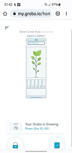 Screenshot_20230118_014244_Chrome