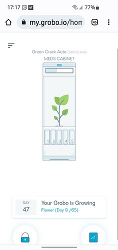 Screenshot_20221223_171730_Chrome