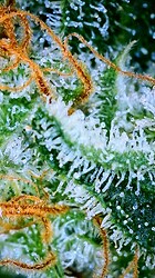 IMG_2857