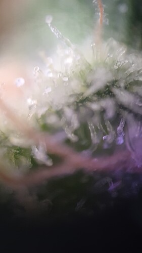 TINYSCOPE_20220403173939179