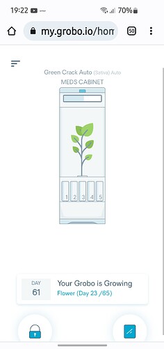 Screenshot_20230106_192238_Chrome