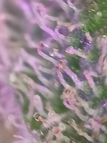 20220612_174636