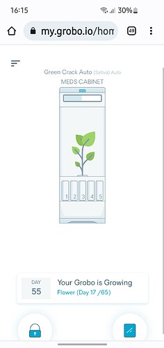 Screenshot_20221231_161555_Chrome