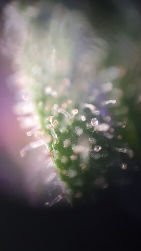 TINYSCOPE_20220408191214552