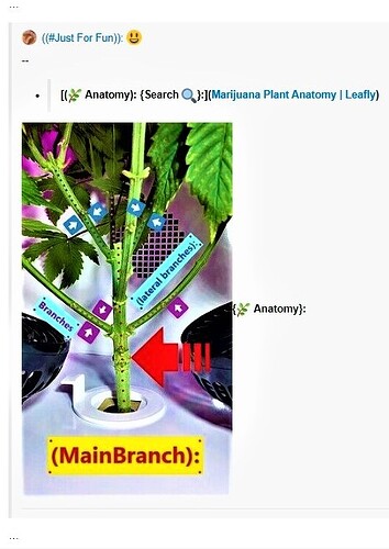 Herb_Anatomy..~~ (2)