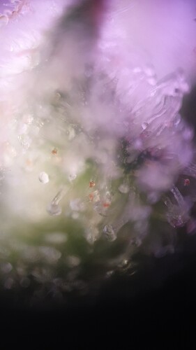TINYSCOPE_20220408191145604