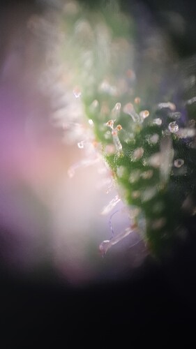 TINYSCOPE_20220408191210485