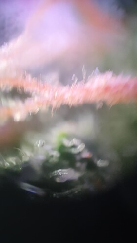 TINYSCOPE_20221011154430440
