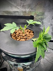 IMG_1644