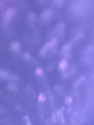 20230301_190609
