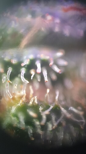 TINYSCOPE_20221016192902663